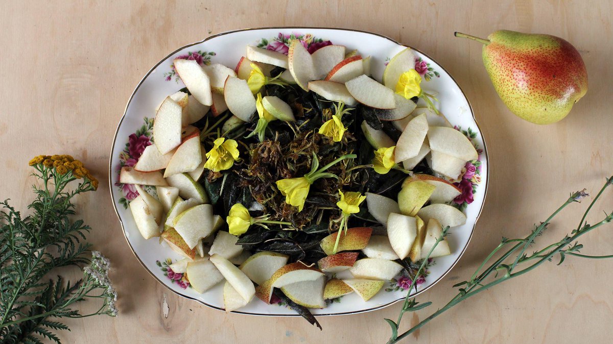 Come and join us at our Social Dinner #2 <a href="/WisecityEhv/">wisecitysummerschool</a> facebook.com/events/1603480…