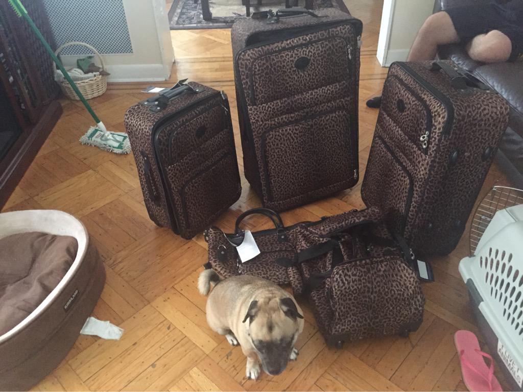 dande_28's tweet photo. Aruba ready 😍😩 http://t.co/YNIwpBLQAR