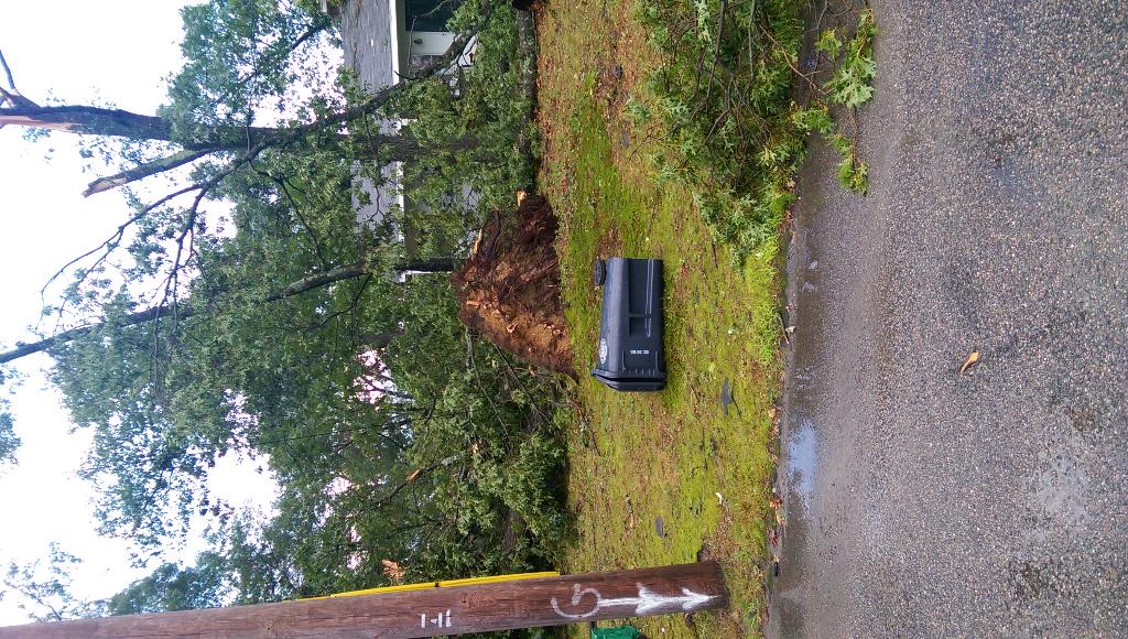 Pleasure_Castle's tweet photo. So my neighborhood got hit with a tornado this morning http://t.co/t8FMbXYr4h