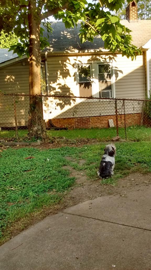 _Leftfield_'s tweet photo. My view~ #backsteps #pickles http://t.co/ARGw3JsO48