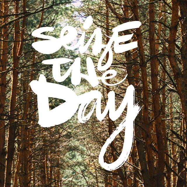 vrslyapp's tweet photo. Seize the day! Part of the Bold as Lions Collection - Coming 8/7 from @walkinlove. #vrsly #madewithvrsly #seizethed… http://t.co/0Nx6XtZAkf