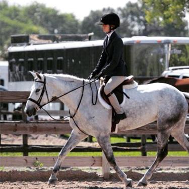 ChronofHorse tweet picture
