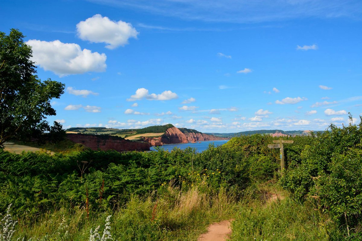 garyholc's tweet photo. Which way? @Devon_Hour @VisitDevon @DevonLife @eastdevonhour @iloveukcoast #coastal #devon #landscape #otterton http://t.co/tktD3ZLl2C