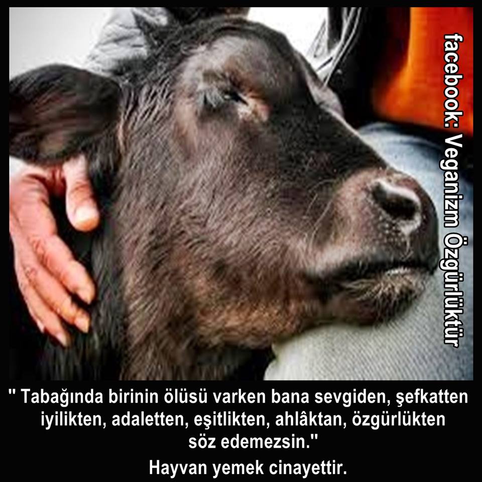 hayvan yemek cinayettir.  goo.gl/uHLPvr