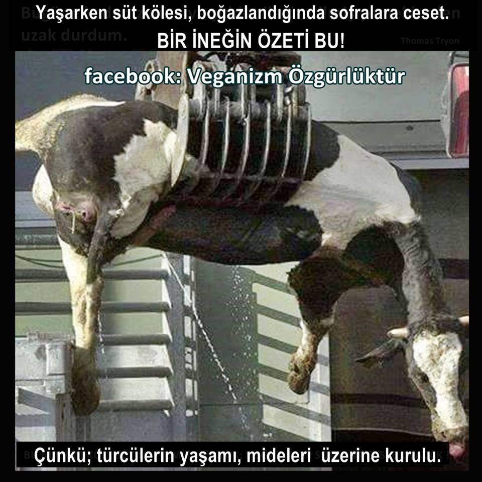 işkenceye ya da ölüme giden bir "ANNE" goo.gl/AXKmFk