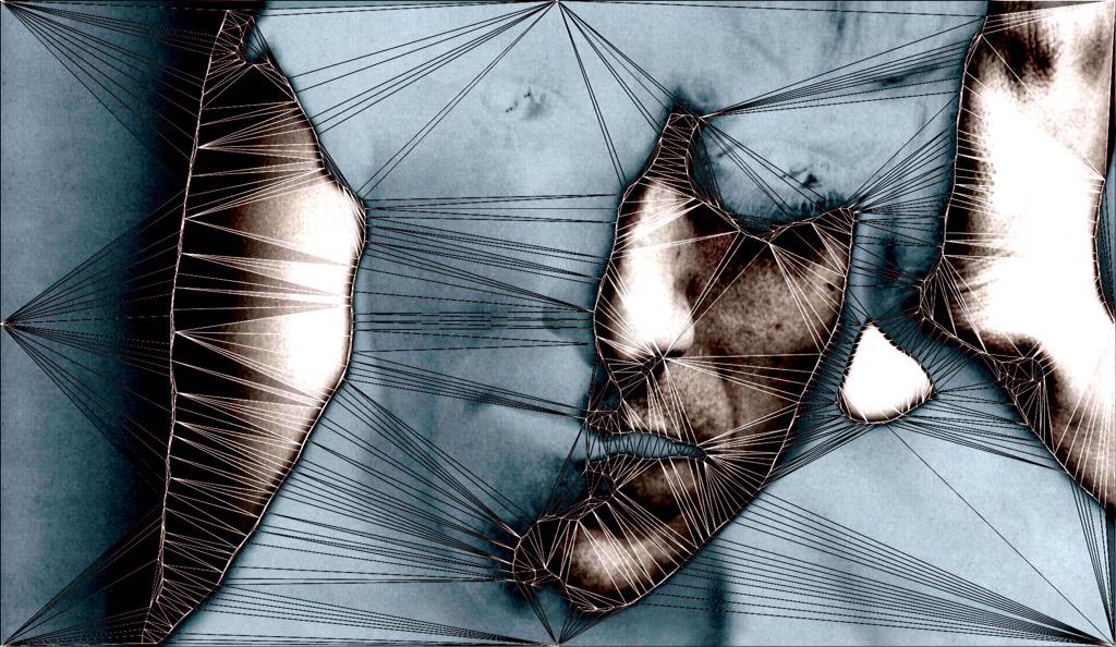 Baiba Auria tweet media