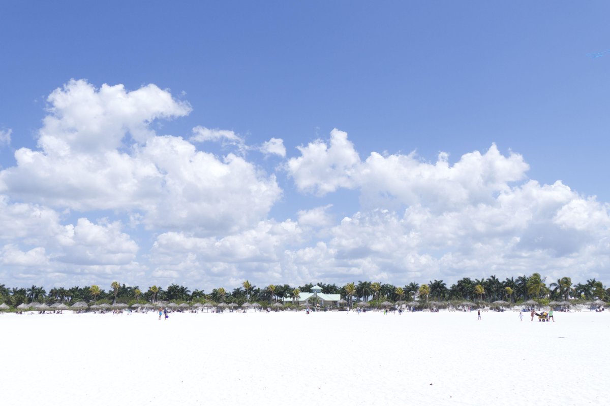 getsocialmarco's tweet image. Locals, what's your beach preference? Residence or South? #localproblems #getsocialmarco #marcoisland