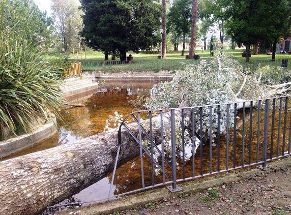 ful_magazine's tweet photo. #IoAiutoFirenze diamo un contributo alla rinascita del parco dell'#Albereta http://t.co/ayCzKZ8aTr #Firenze @comunefi http://t.co/DUgA36TIv3