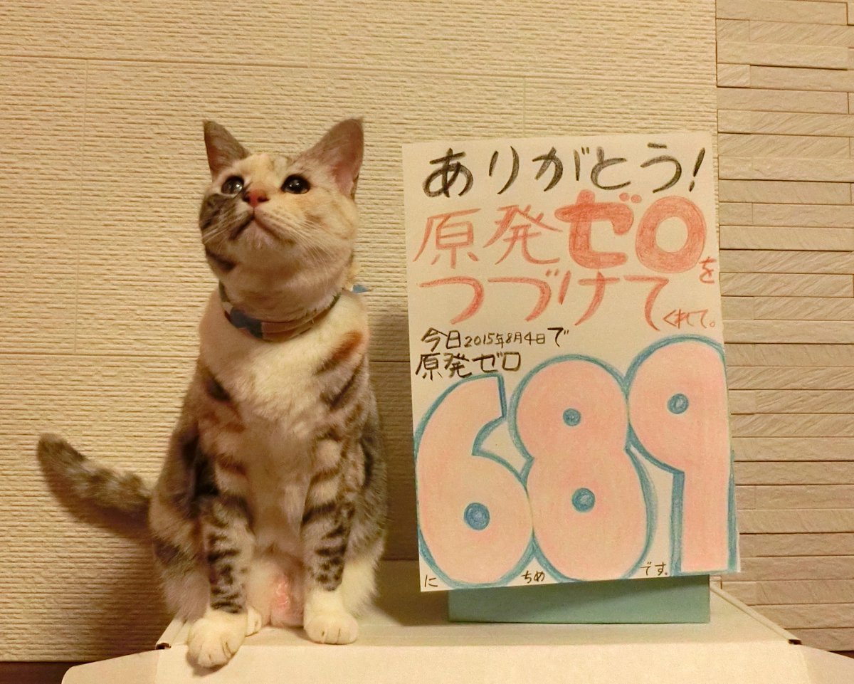 umediary's tweet photo. #原発ゼロカウントダウン
厳しい暑さが続いています。
戦争法案や原発再稼働に反対して活動してくださる皆様が熱中症などになられませんように!
家の中から皆様のご無事をお祈りしています。
吉田なな(ネコ・8歳)
#本当に止める肉球で止める http://t.co/hICsXWdakF