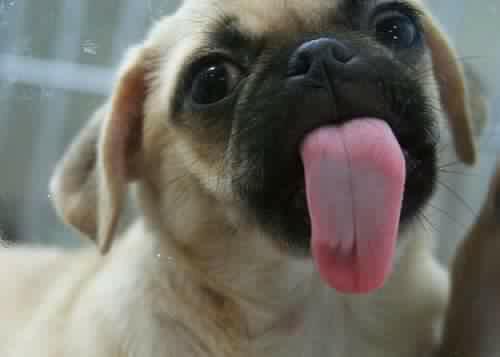 aryestrada3's tweet photo. Hoy es un buen día para sonreír y para llenar Twitter de cosas lindas #BuenosDias #BuenMartes #buenavibra para todos! http://t.co/Ac4lVwBxj3