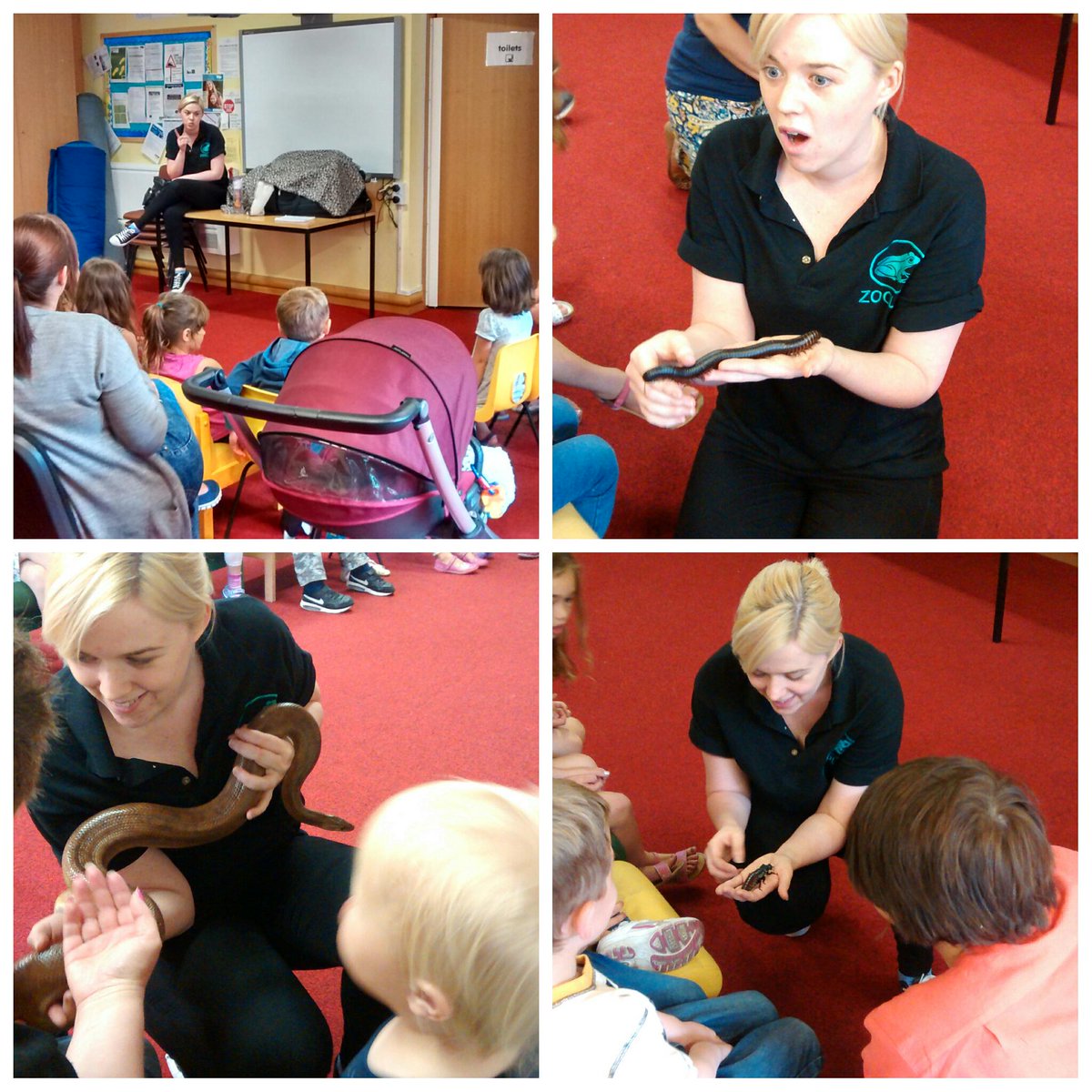 StaffsLibraries's tweet photo. Monday at #PertonLibrary saw @jesszoolab coming through with her fascinating selection of animals and insects! http://t.co/SiLjSu9zVA