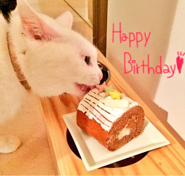         Happy Birthday                  \\  / 