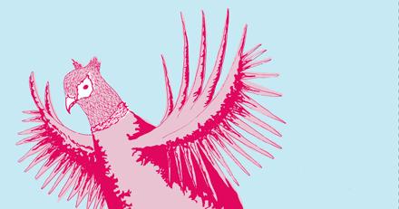 Polly Baker, fresh from Norwich University of the #Arts - stationery, fabrics &amp; tea towels, all made in #Norfolk.