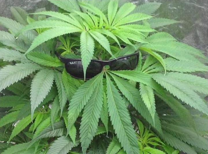 When you're high as fuck trying to act normal...