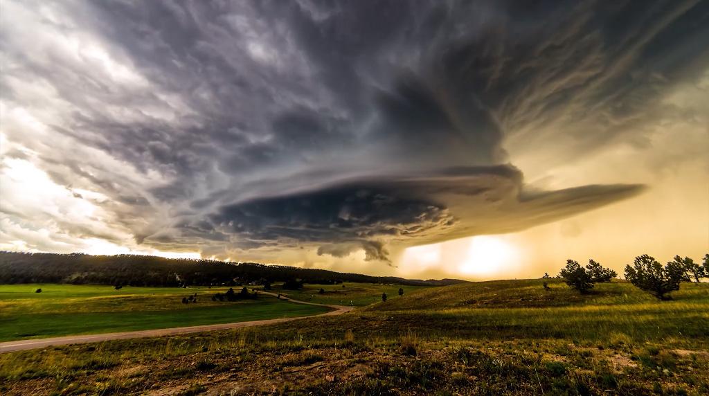 Collegamento permanente dell'immagine integrata