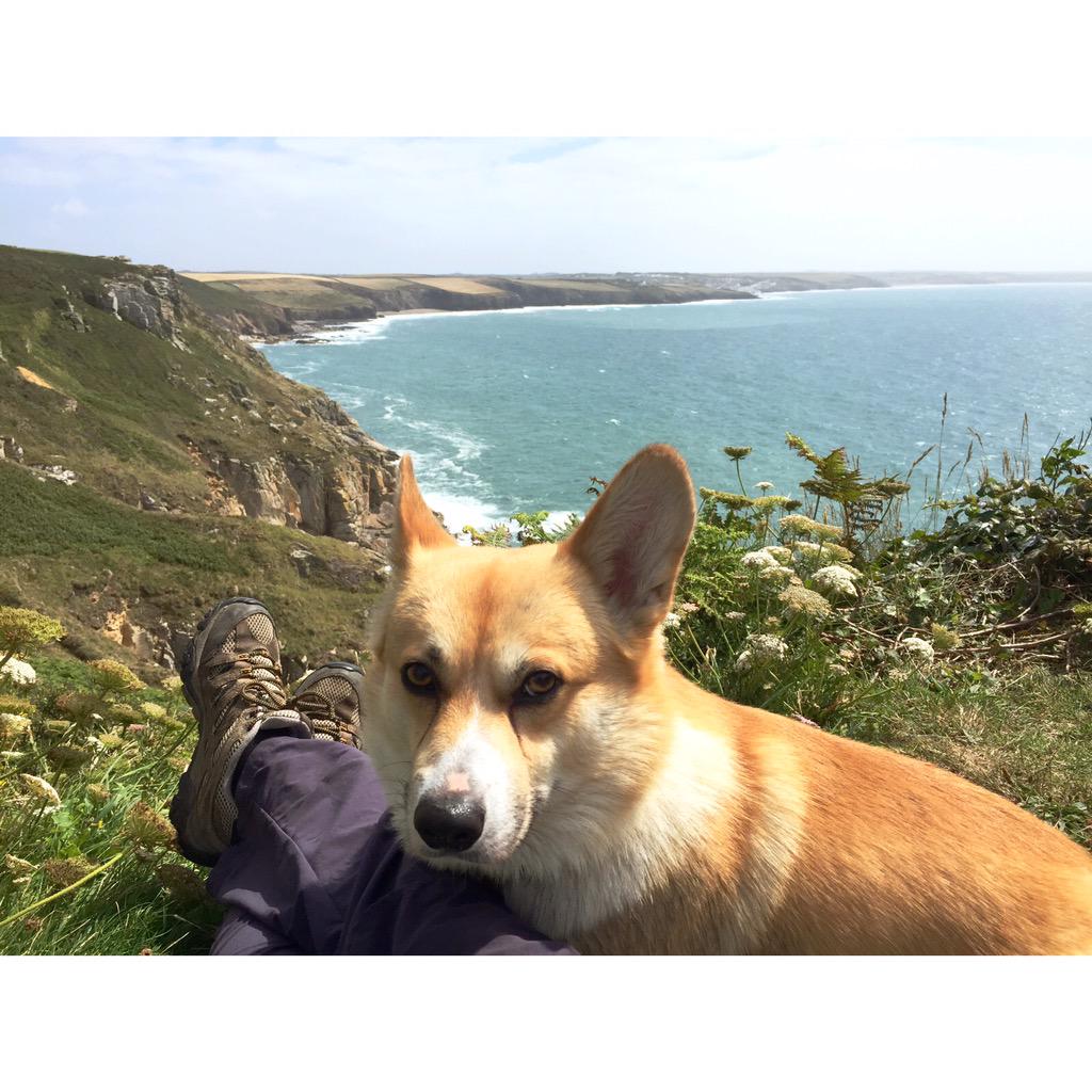 Majestic, timeless & beautiful.
Then there's the #Cornwall heritage coast.
#CorgiAdventures 
Thanks @WafflesGoesWest
