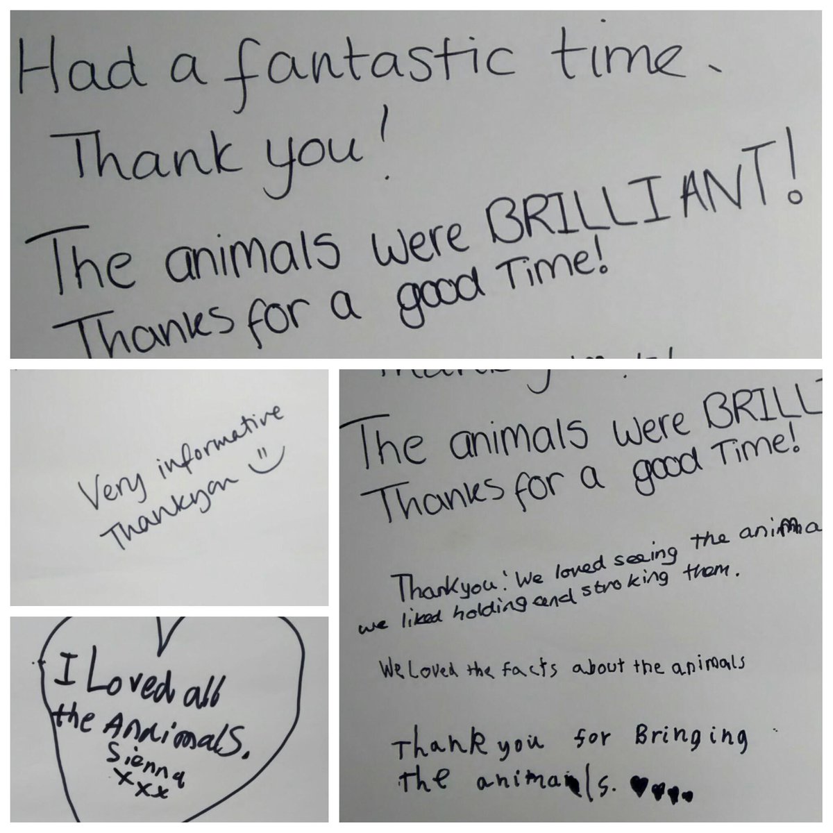 StaffsLibraries's tweet photo. Thank You from all those who attended at #PertonLibrary too. @jesszoolab @ZoolabUK http://t.co/5HEv5TZhXH