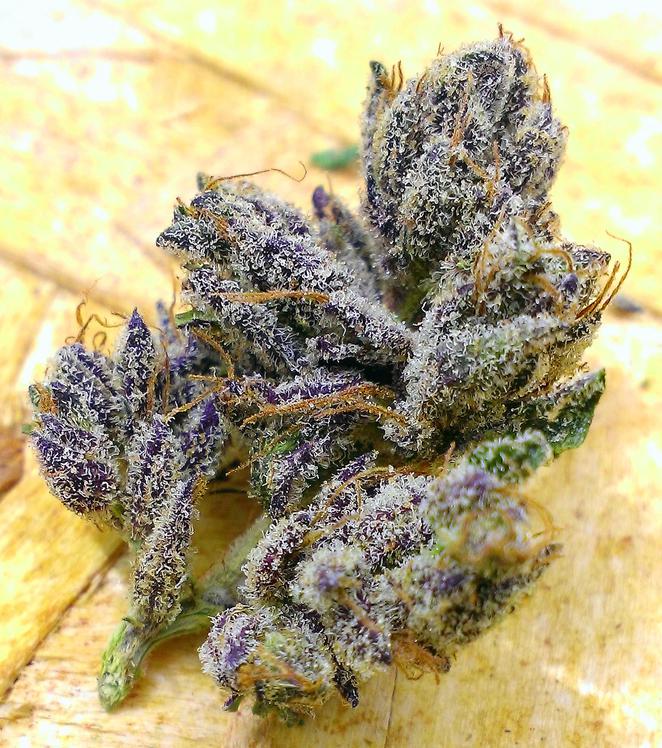 MJGrowBlog's tweet image. RT if you love that purp
