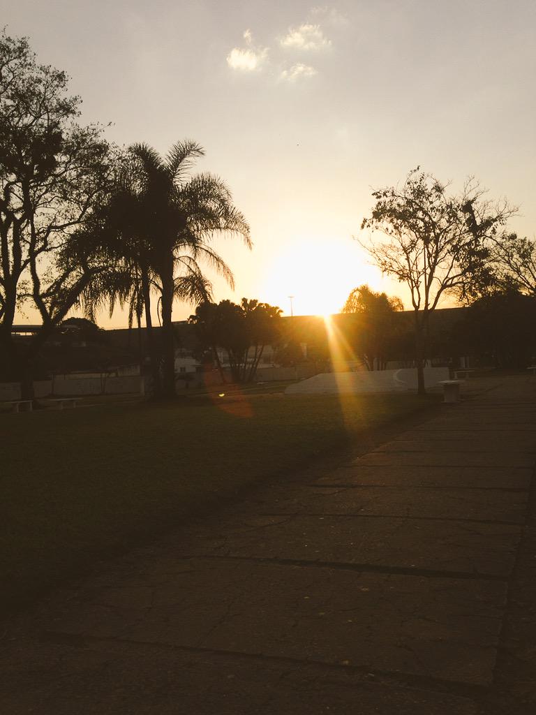 arrobale's tweet photo. Pôres do Sol 💚 http://t.co/h41PvdpUc5