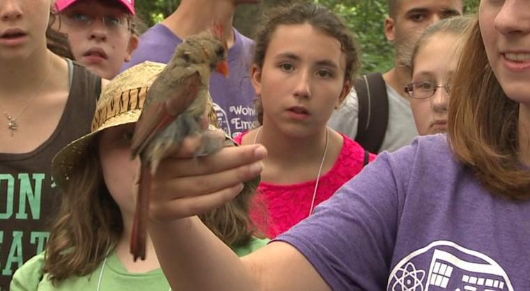 WNEPPowerToSave's tweet image. Power to Save: Avian Adventures for Students with @WilkesU link.wnep.com/1M0oEdN  Spnsd by: @CabotOG
