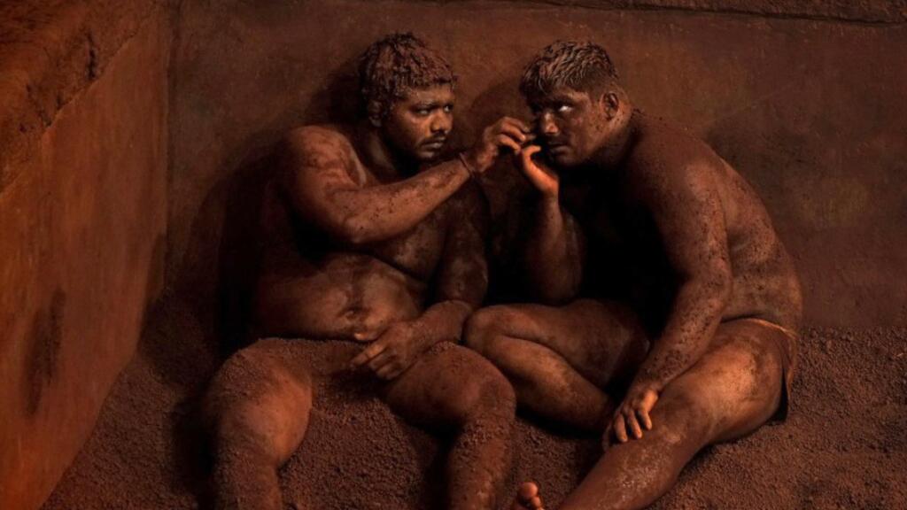 3CatInfo tweet media