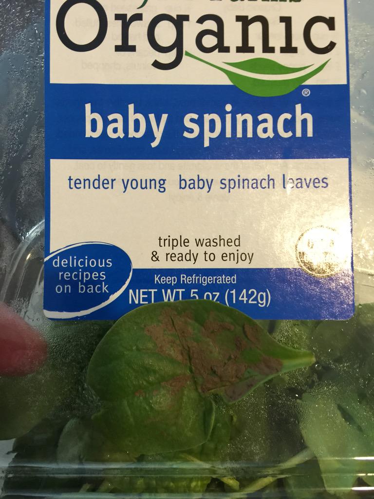 EnglishFD's tweet image. Puchased this "triple washed" spinach  packaged by @YourTaylorFarms @Target. Guess they need a Quadruple wash! Yuck!