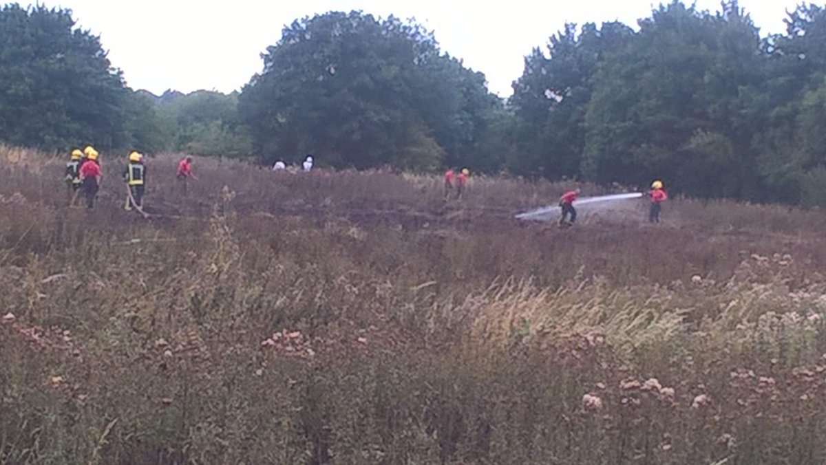 LondonFire's tweet photo. The #Neasdon grass fire is under control. Crews will remain at the scene to damp down. More: http://t.co/bgKIIO58H4 http://t.co/872HvrDSe9