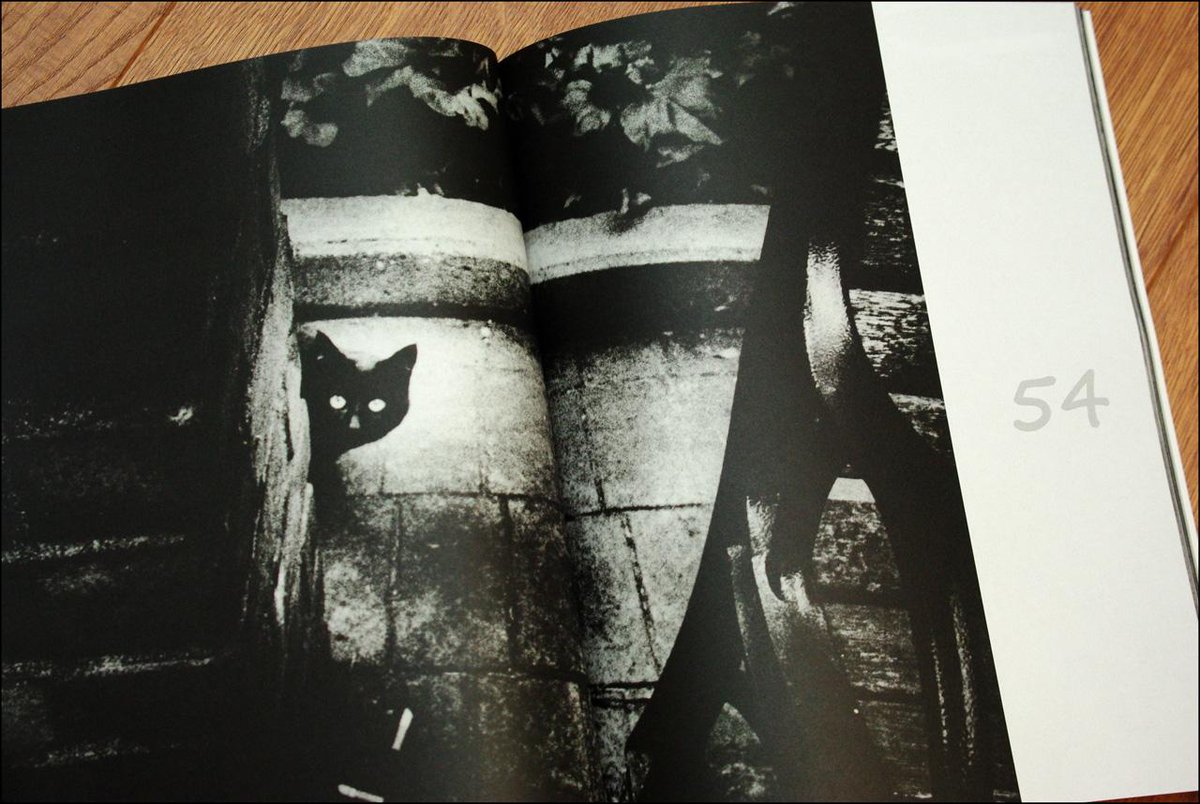 darkslidepress's tweet photo. "In Osaka" presentation  @LeicaStoreMiami  08/20/2015 7PM: http://t.co/S7MXSiRyvP http://t.co/0XN62WlNt6