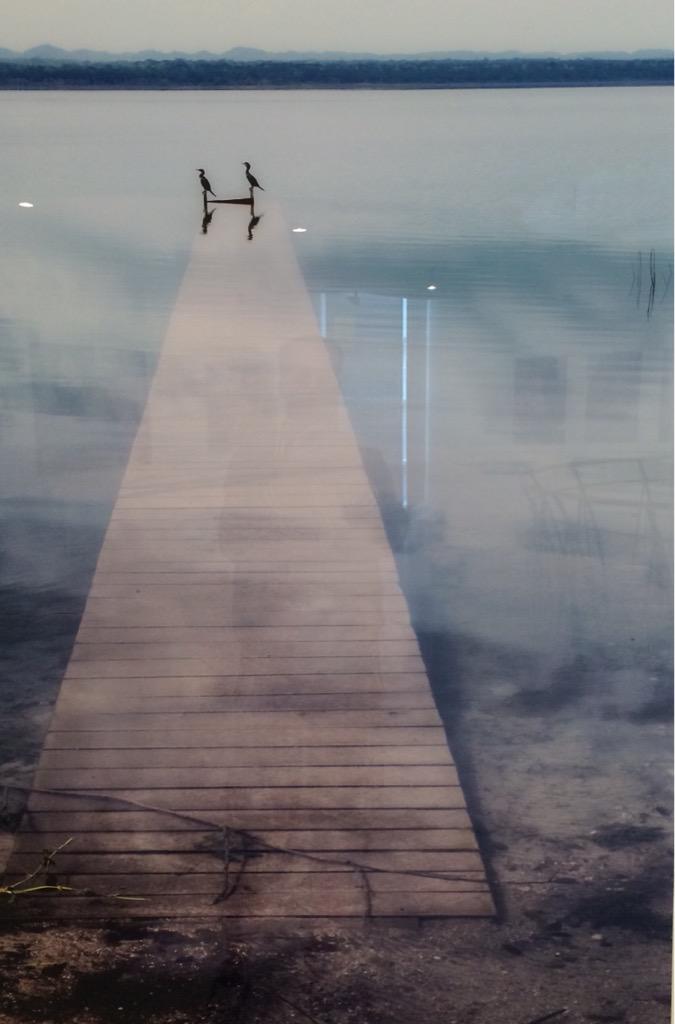 De fototentoonstelling van <a href="/SachadeBoer/">Sacha de Boer</a> en <a href="/raymondrutting/">Raymond Rutting</a> in <a href="/museumhilversum/">Museum Hilversum</a> bezocht. Dit was onze favoriet.