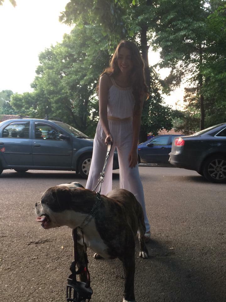 BrumaOtilia's tweet image. 🐶🐶