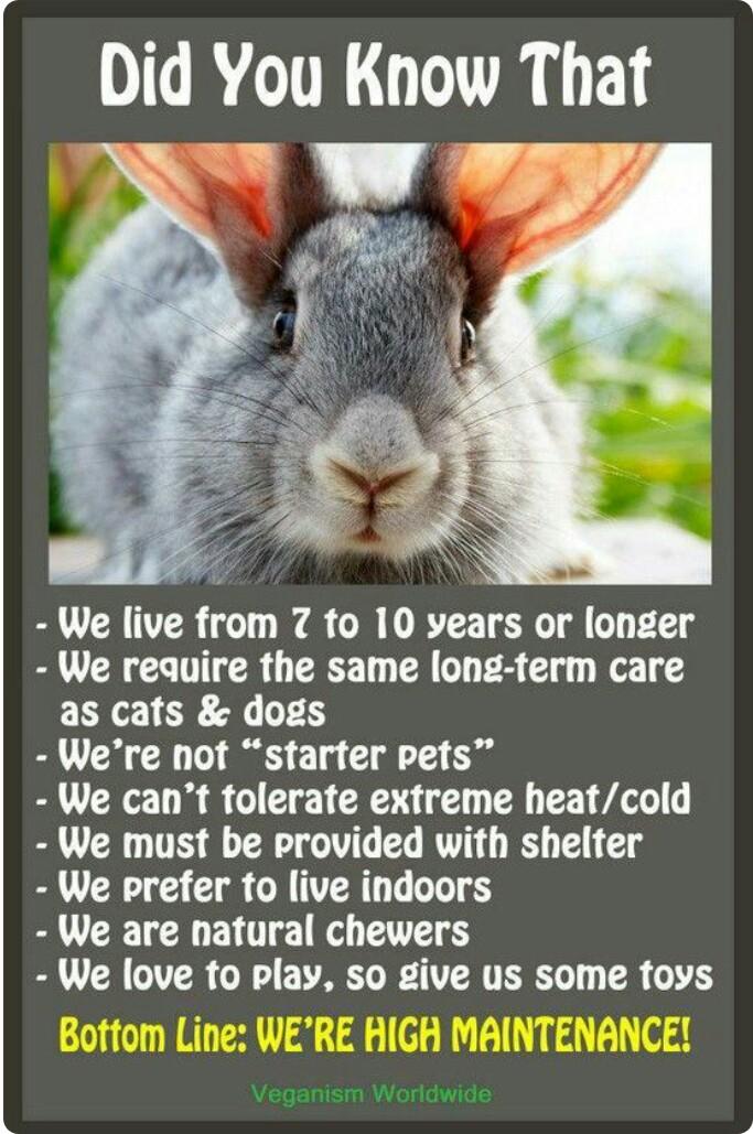 HeyArdenGarden's tweet photo. #TheMoreYouKnow #ResearchBeforeYouBuy http://t.co/Mt6Z8P03Ma