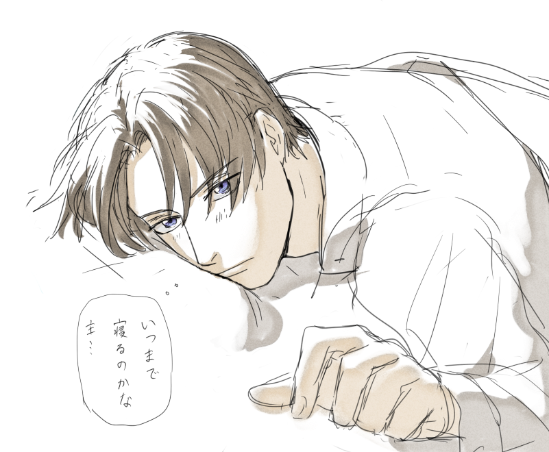 あなたの傍で起きるのを待っている長谷部🐺 だけ / だいぶ前の落書き供養しとく 