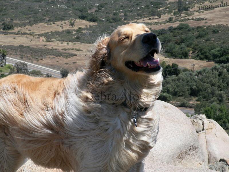 GrandHorse's tweet image. Have  Nice Day....... #SimpleMessage #StayTrue