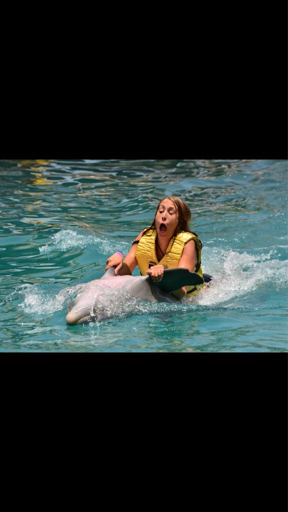 allison_huber's tweet image. @NicoleBascio is one with the dolphins