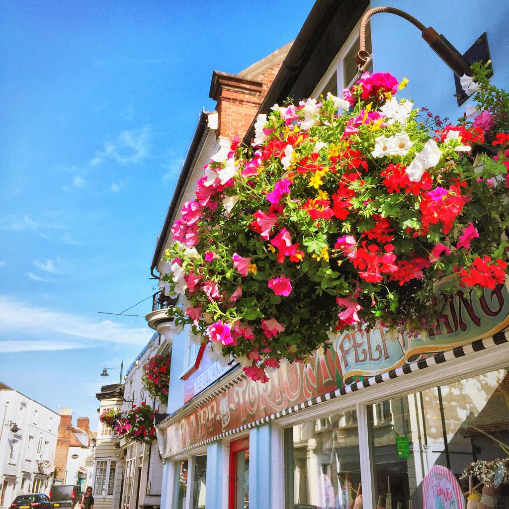 gilliangladrag's tweet image. #HangingBasket outside The Fluff-a-torium looking #fluffing STUDPENDOUS! #Dorking
