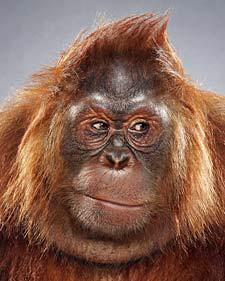 Netjeretkhau's tweet photo. #TrumpsRunningMate His second cousin http://t.co/LHP7pSlo0s