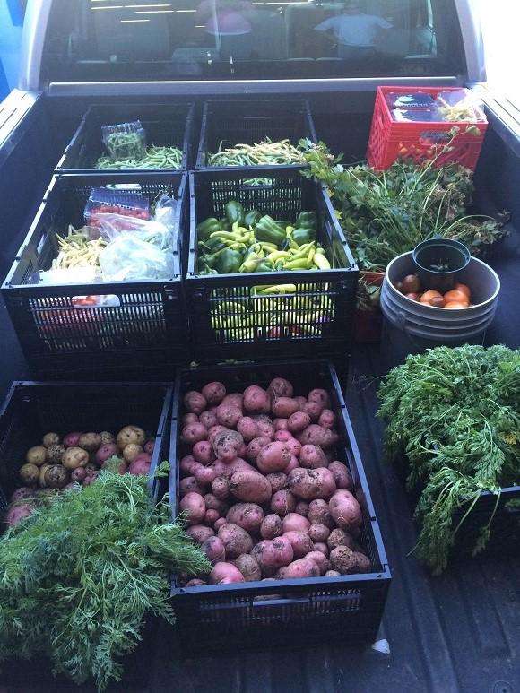 Scotts Miracle Gro On Twitter Another Bountiful Harvest