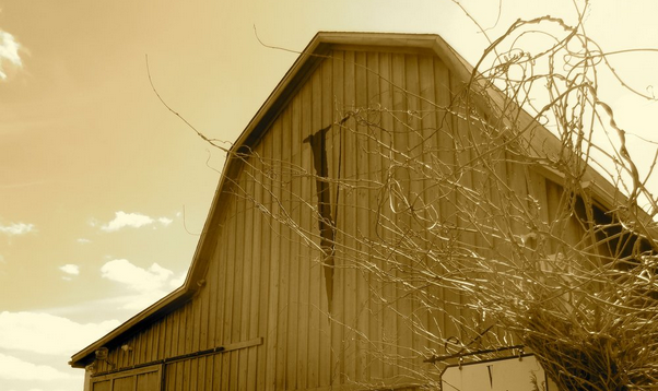 visitbrandywine's tweet photo. Avondale’s Va La Vineyards Still State’s Top Winery:http://t.co/3hK9TvlDDf via @VistaToday #VisitBV #PAwine #BVFoodie http://t.co/nMan6DxX0I