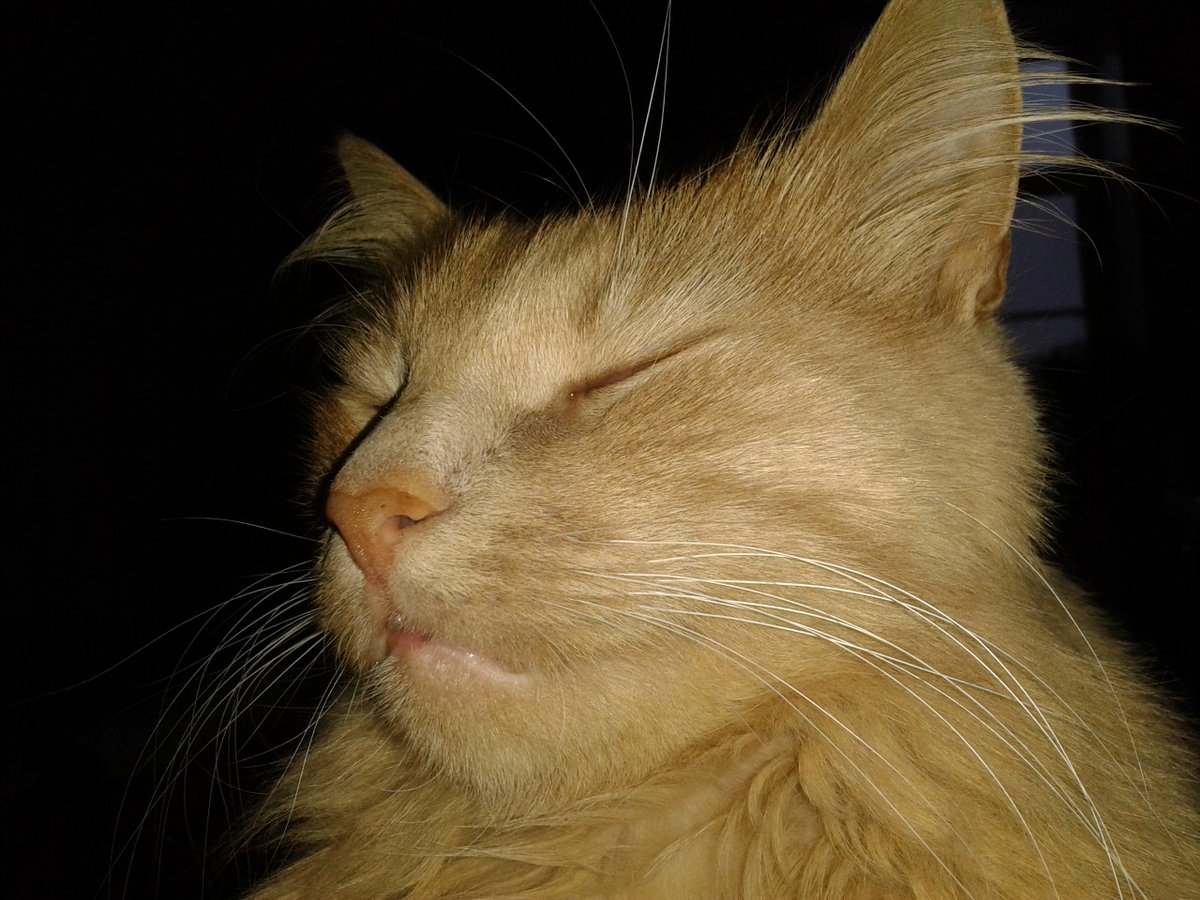 nwteplostart's tweet photo. Ну вот я и в сети ! http://t.co/8UVE3ikBKE