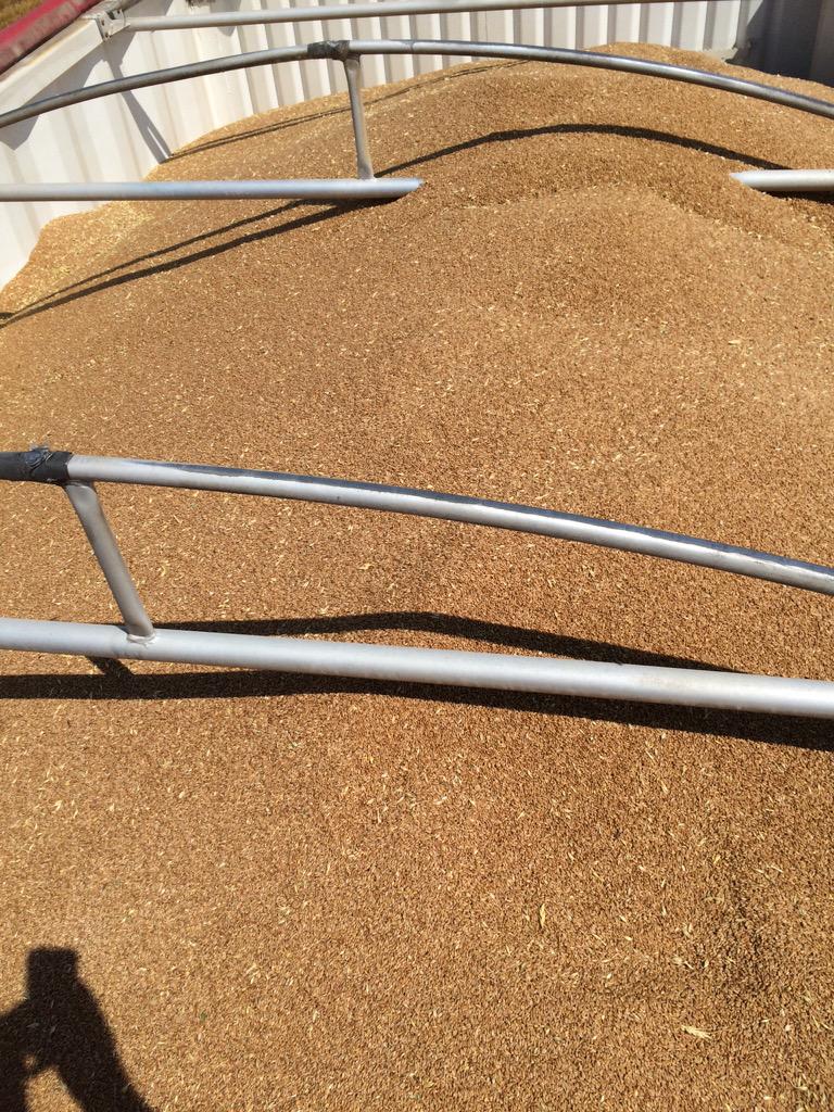 Rick Hubrich tweet media