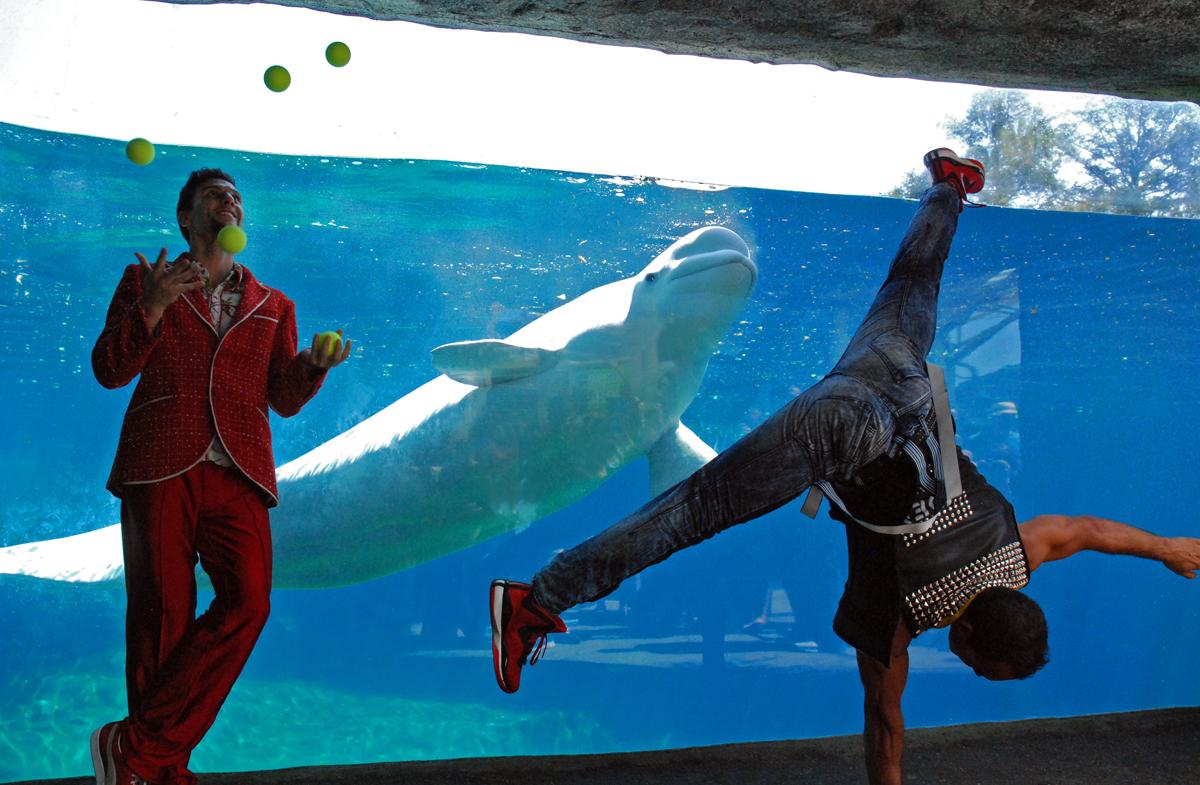 mysticaquarium's tweet photo. Special thanks to the cast of @cirque_eloize for stopping by!  Check out their show all month long @FoxwoodsCT. http://t.co/zOcrFTvU8k