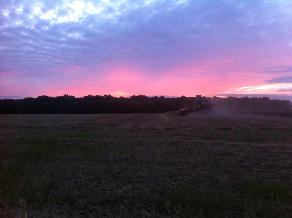 BedfordiaFarms's tweet photo. Cracking night for it! Nearly 700ha of rape cut. #stickforward #clubhectre http://t.co/eWLnHJouRc