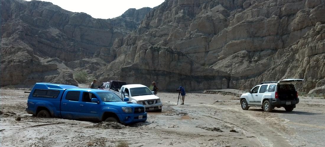 CommandoBotany's tweet photo. Tried to help after flash flood;got stuck worse than others;news showed up, added to embarrassment. #fieldworkfail http://t.co/T0HSHFjHBh