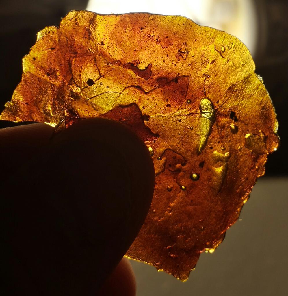 710asaurusrex tweet picture