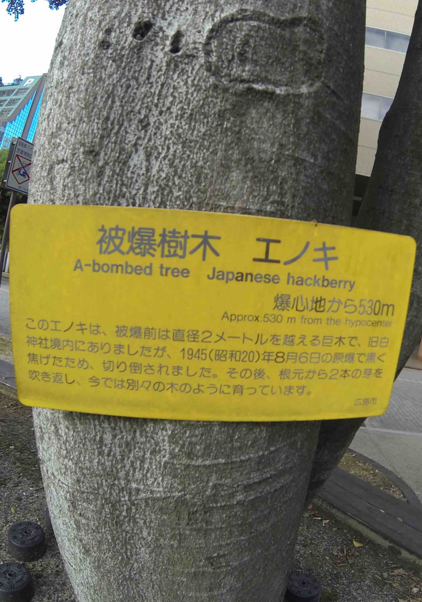 Aware Indeed Aware Indeed Twitter Aware Indeed Aware Indeed Twitter