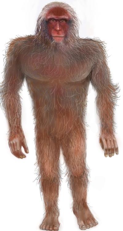 BartyAnderson's tweet image. Astonishing