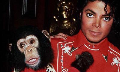 MJisMissed's tweet photo. Michael and Bubbles looked so cute together 😍 http://t.co/T4ZeyLjG1m