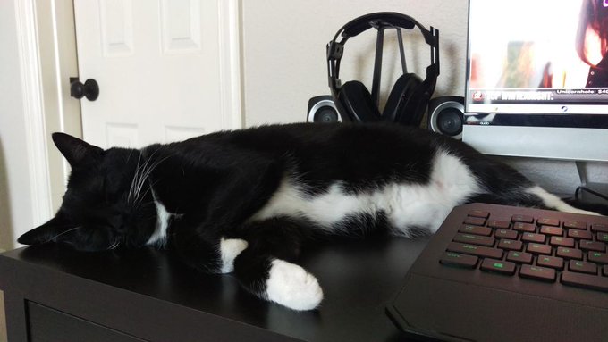 Watch ≫ BirdyLovesIt ≪'s leaked NSFW photo on TwXstars