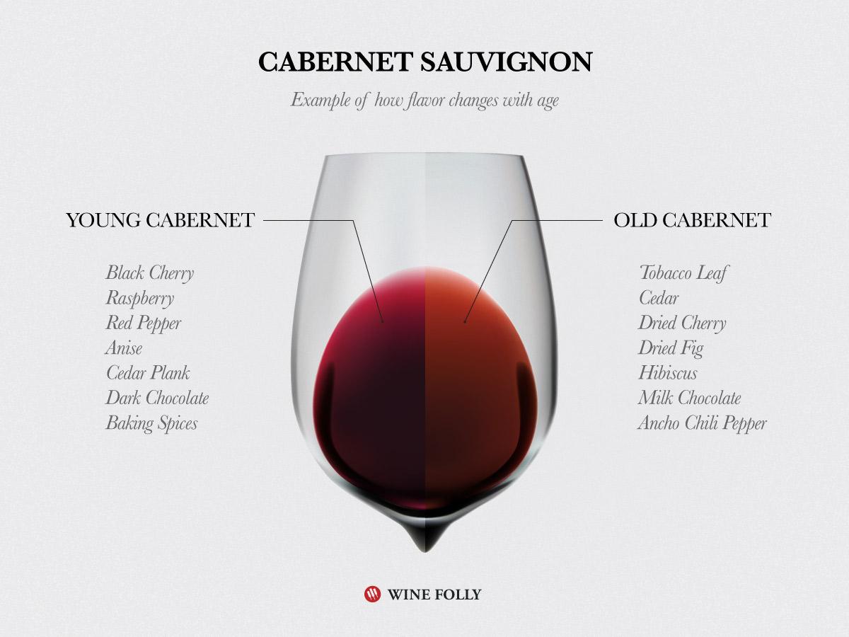 alawine's tweet photo. You haven't aged a day. But how long should you age wine? RT @WineFolly https://t.co/sghmxm8SWE https://t.co/YYwCCJLOEf #wine