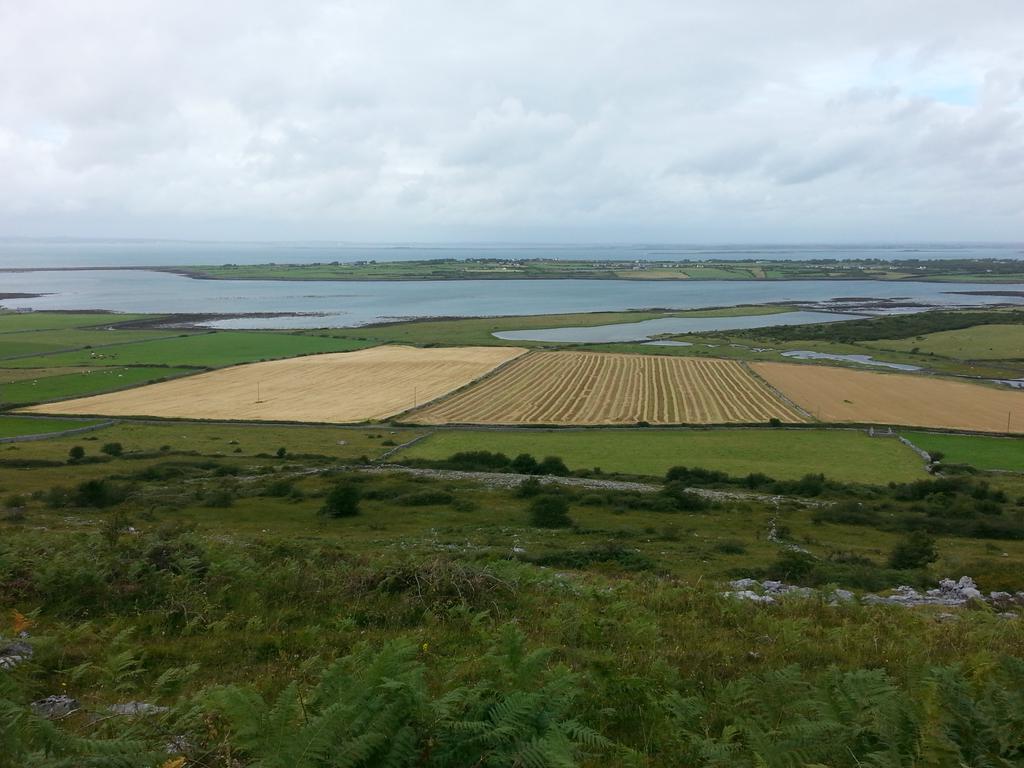 SheilaDegan's tweet photo. King and Country #burren #Corcomroe http://t.co/2R6I0Zxi4O